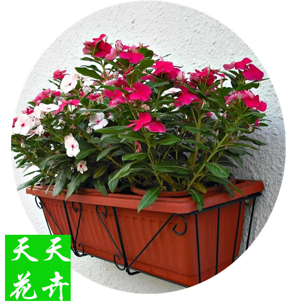 推荐最新长春瑞天建材商店 瑞天盛达足浴盆信