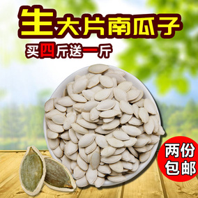 生南瓜子 原味大南瓜子白瓜子 炒货生散装500g 2份包邮