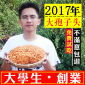 北虫草孢子头 农家干货蛹虫草金北虫草花精选无硫 虫草花正品