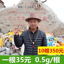 35元 玉树野生虫草正品 一共10根 0.5g 新鲜冬虫夏草正品