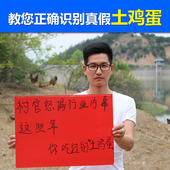 包邮 土鸡蛋农家散养新鲜蛋正宗纯天然30枚柴鸡蛋笨鸡蛋草鸡蛋月子
