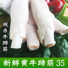 新鲜生黄牛蹄筋剔骨牛板筋筋熟牛筋500g现杀精选农家土牛 牛蹄筋
