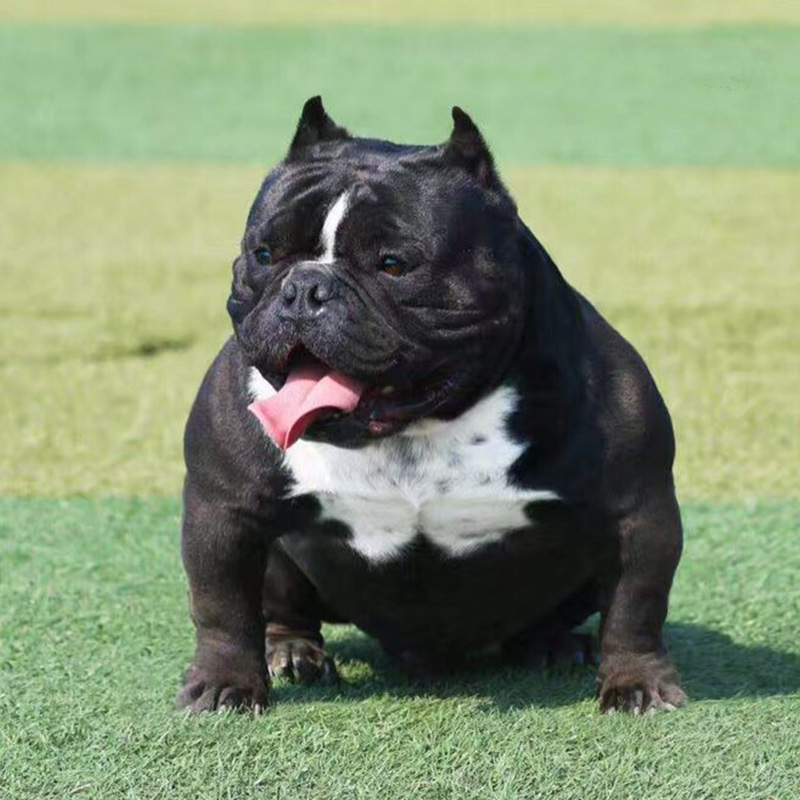 正品[黑鬼]janine姐大战2黑鬼评测 黑鬼香烟图片