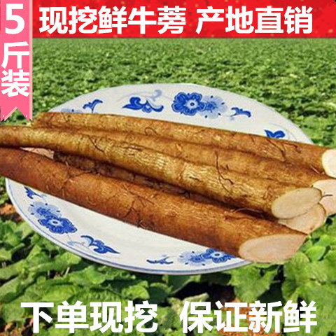 天天特价 现挖5斤装新鲜牛蒡根 牛蒡茶牛膀农家蔬菜生鲜 包邮