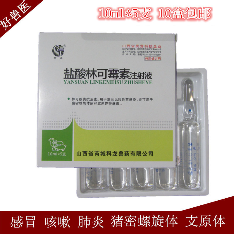 科龙林可霉素注射液 猪牛羊马感冒咳嗽发烧消炎产后感染单方兽药