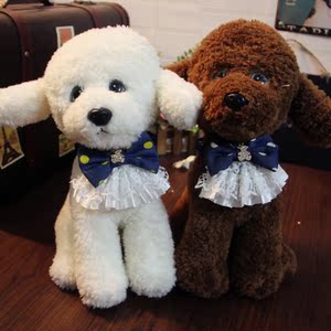 【宠物狗狗项圈】最新淘宝网宠物狗狗项圈优惠