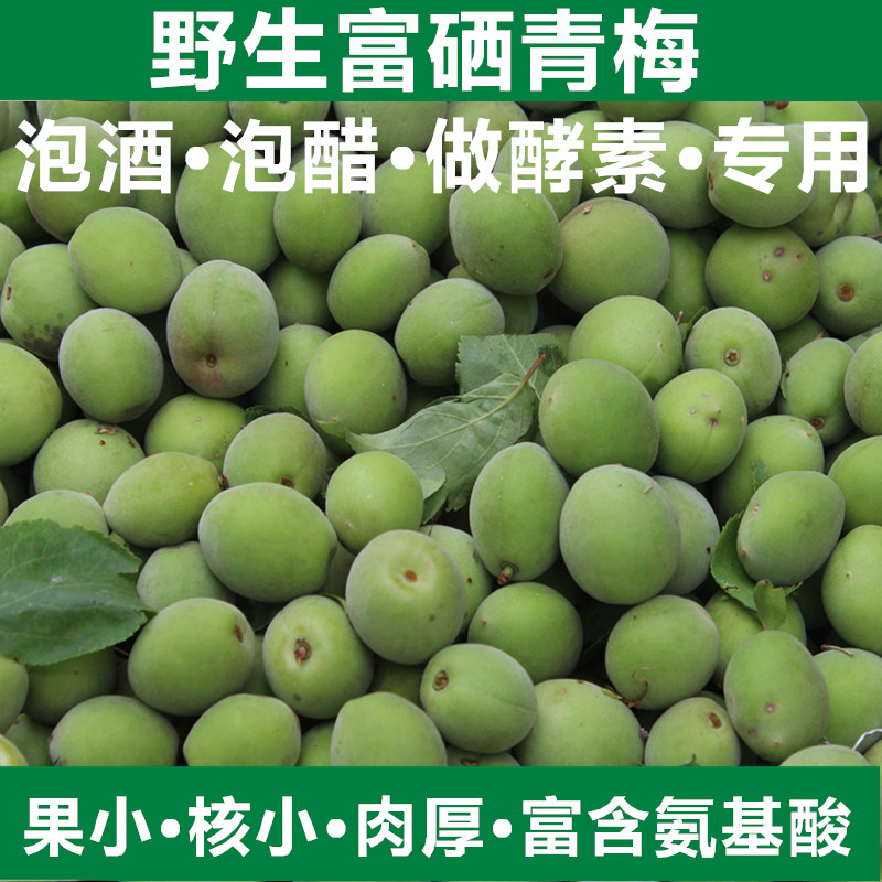 云南大理洱源新鲜水果野生现摘青梅果酸梅果青脆梅子鲜果包邮