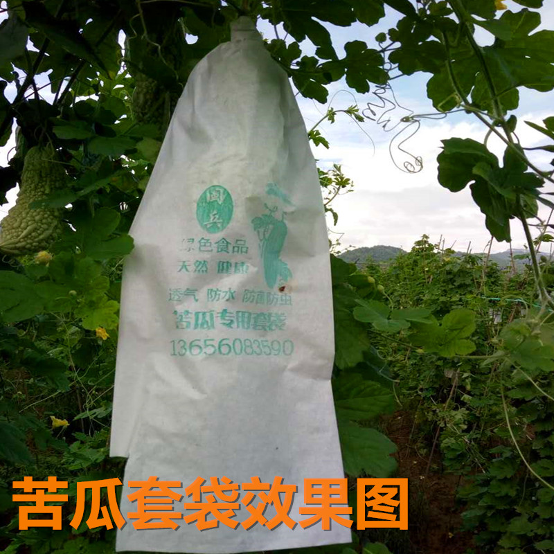 正品[果袋厂]陕西果袋纸厂评测 莱阳市新台果袋