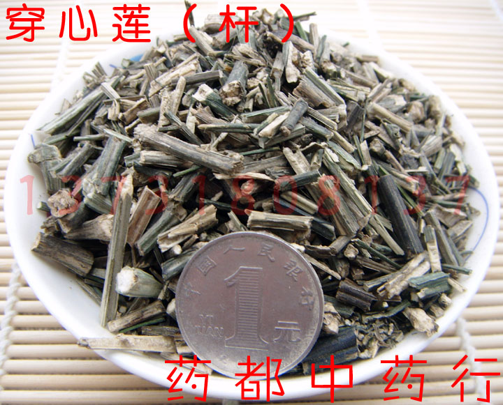 中草药 穿心莲 (杆)50克 中药材 一见喜,斩蛇剑,苦草