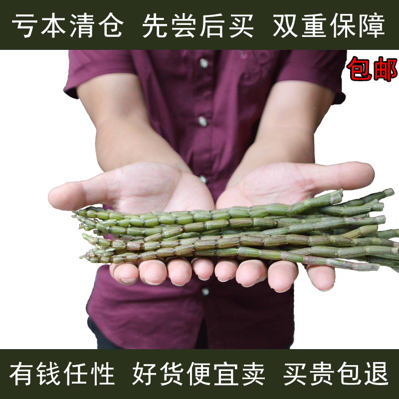 乐清雁荡山软脚红种铁皮石斛鲜条三年老条500克装新鲜铁皮枫斗