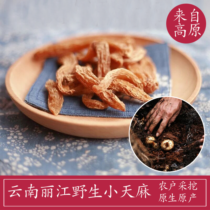 云南丽江野生小天麻  野生天麻  红天麻  云南天麻  新货上架100g