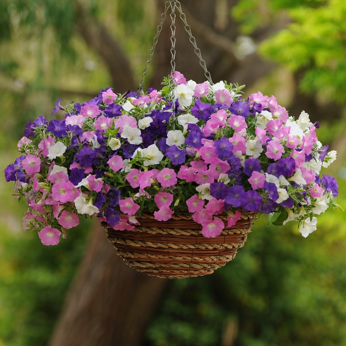 ڴǣţС໨ױ̨Դֲ
