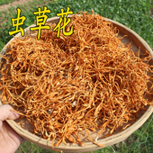 虫草花正品 北虫草孢子头农家干货蛹虫草金北虫草花精选无硫 半斤