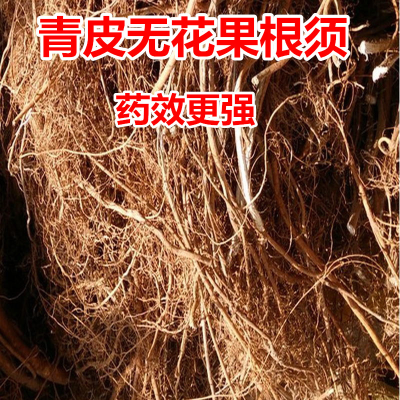 特产中草药威海青皮无花果根须无花果根无花果树根半斤包邮装