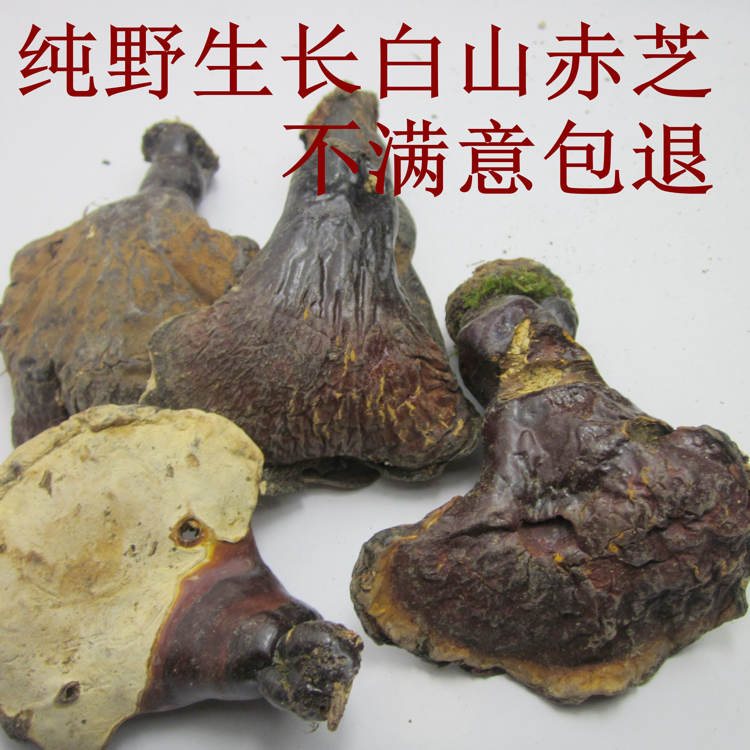 灵芝天然野生灵芝长白山灵芝赤芝半斤长白山赤芝白心白肉灵芝包邮