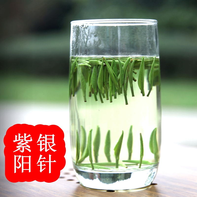 陕西安康绿茶2016新茶紫阳富硒茶明前银针绿茶 茶叶雀舌毛尖嫩芽