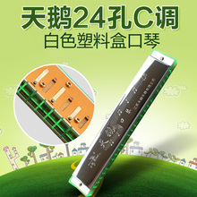 17自学儿童入门吹奏乐器成人 口琴天鹅24孔复音c调初学者成人SW24