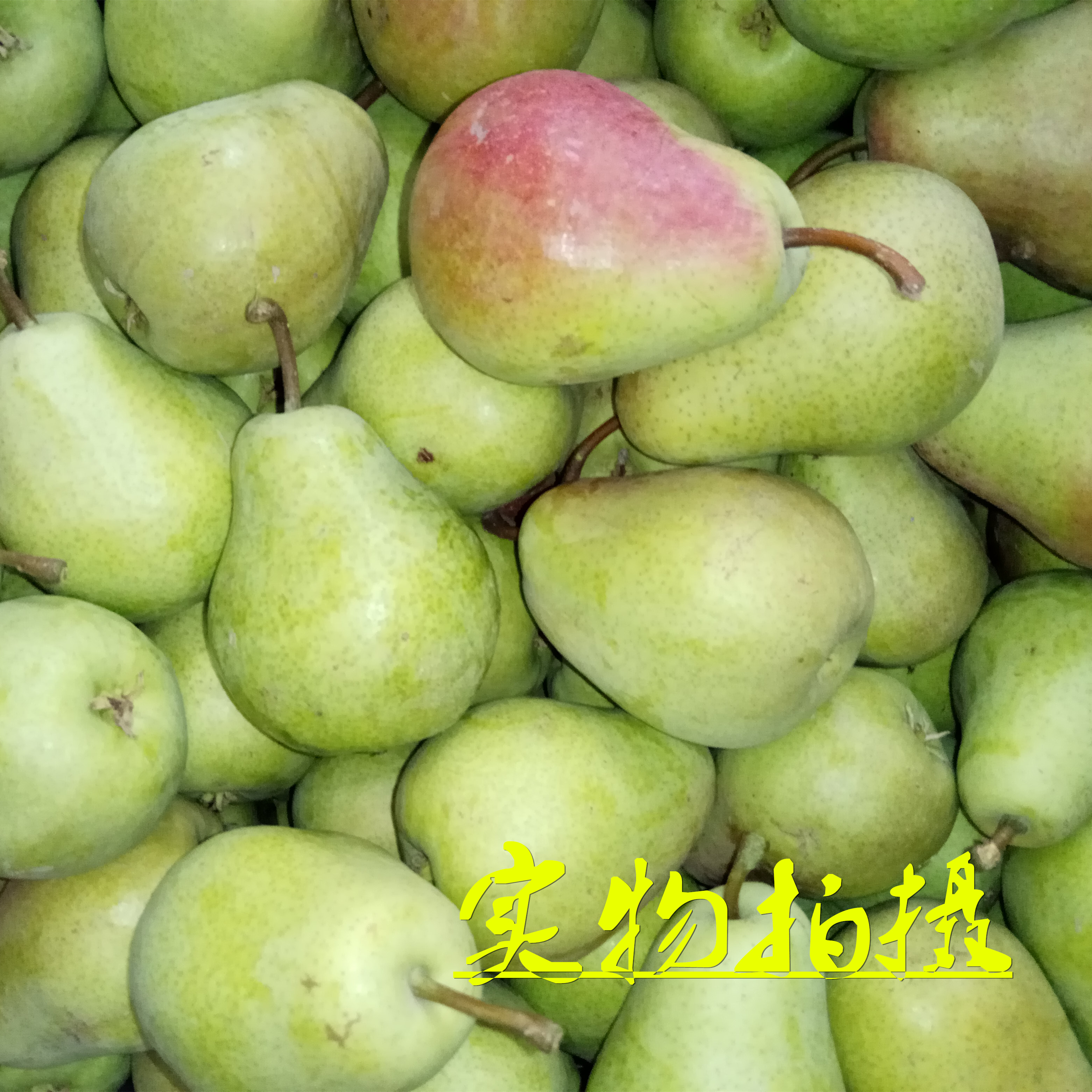 ݰˮ㽶«5