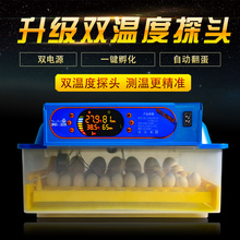 伊科贝特孵化机全自动家用型鸡鸭鹅36枚小型孵化器孵蛋器孵化箱