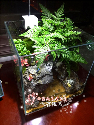 包邮水陆缸造景两栖苔藓微景观玻璃鱼缸养鱼虾创意绿植物流水礼物