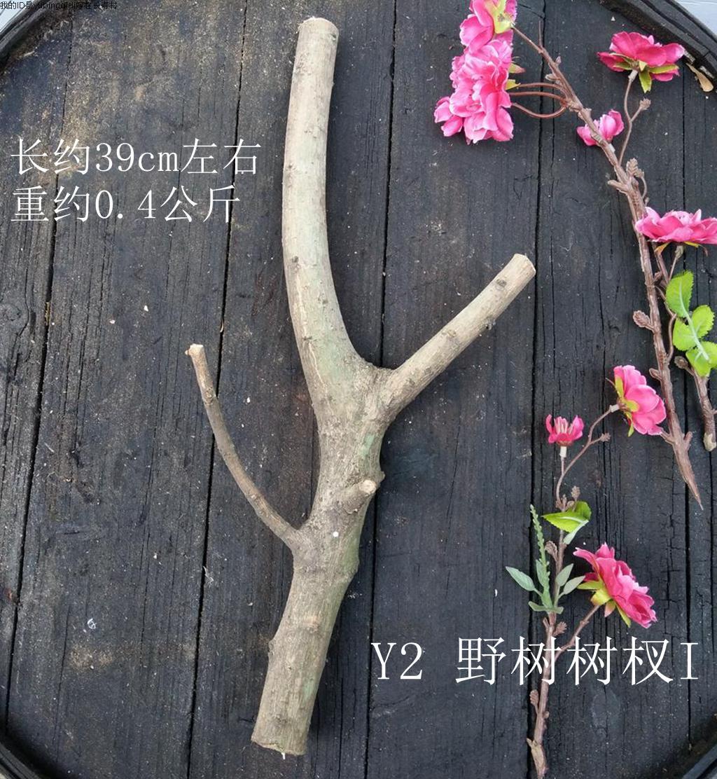 微距摄影道具 实物发货 野树小树杈 小木叉 y2 小树枝 i 手工道具