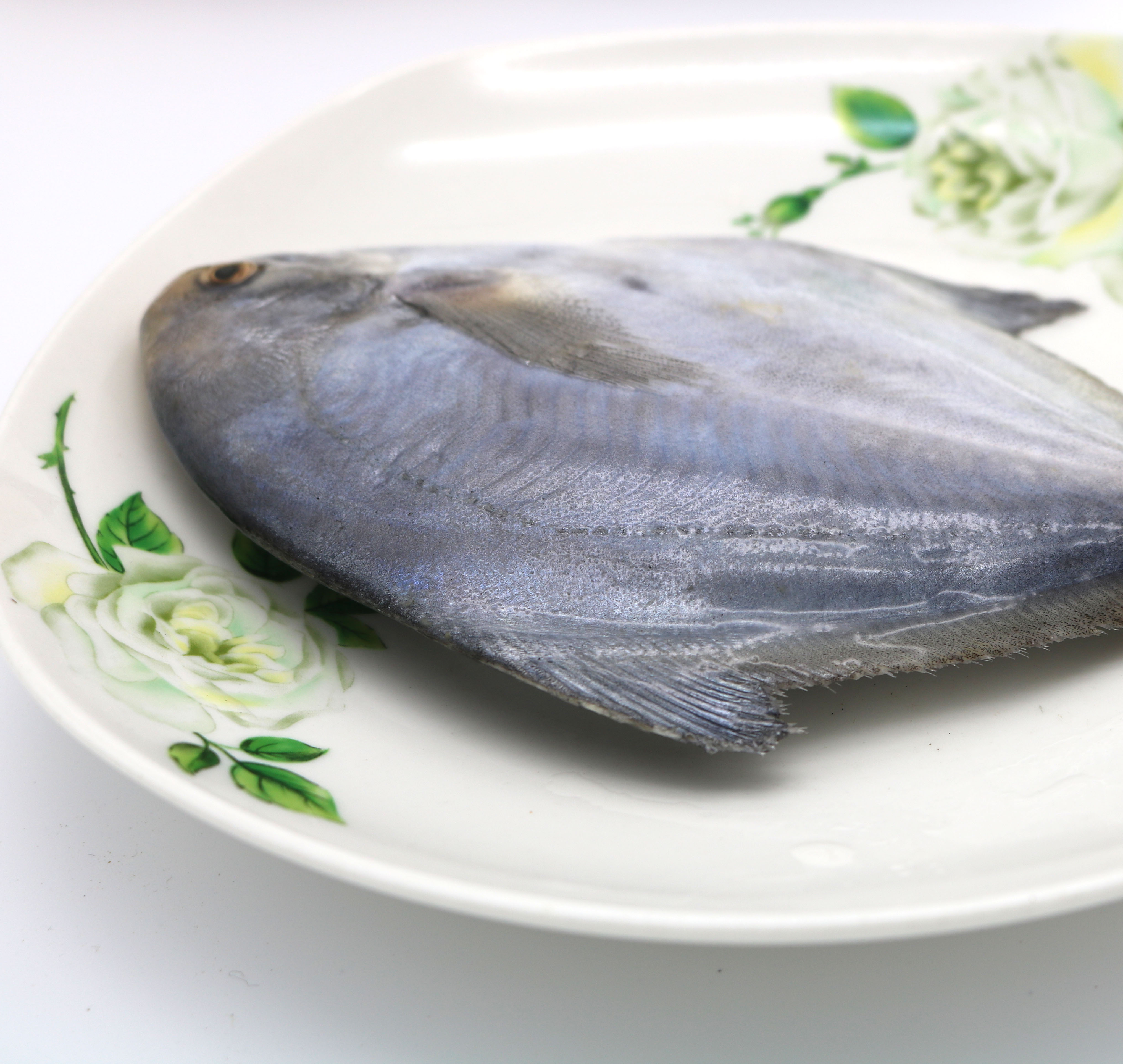 烟台海鲜水产野生中号银鲳鱼新鲜平鱼海捕扁鱼鲜活海鱼 3-4条/斤