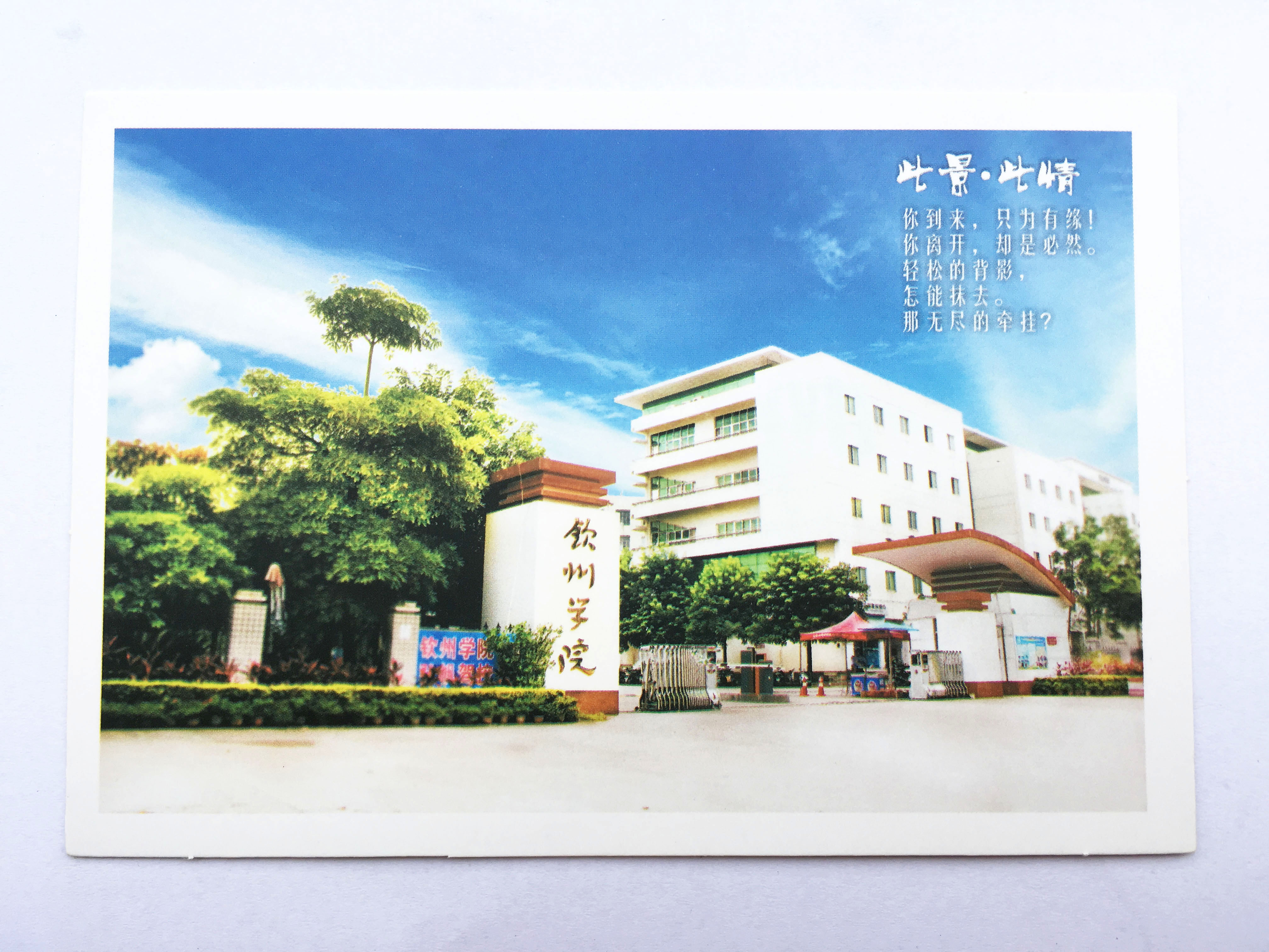 此情此景 单张 钦州学院老校区风景 多买更实惠 学校正门