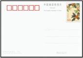 全品 普通邮资明信片 桂花 PP22