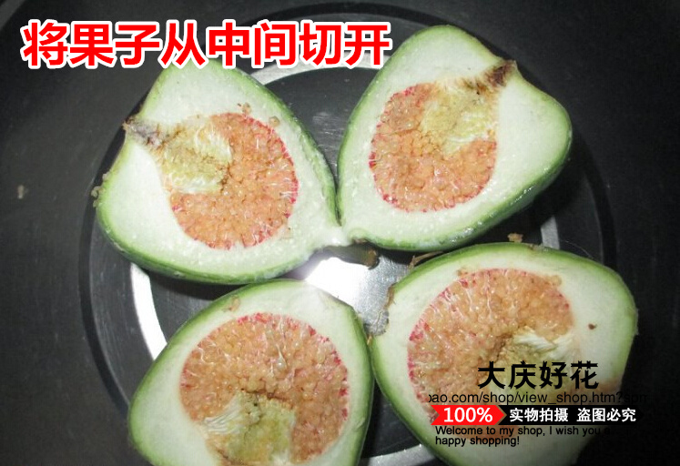 ޵ ۹ ۵Ĺ