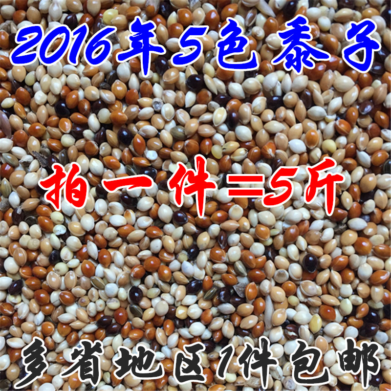 虎皮牡丹玄凤中小型鹦鹉鸟食饲料五色黍子鹦鹉混合营养粮谷子包邮