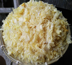 特级古田自家种植雪耳白木耳干货丑耳银耳碎片