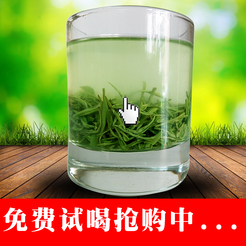 信阳毛尖2016新茶雨前特级高山绿茶250g手工自产自销春茶散装茶叶