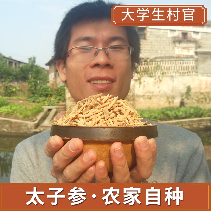 太子参特级农家自种天然无硫正宗精选柘荣同仁堂级200g包邮孩儿参