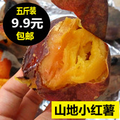 包邮 5斤 新货 新鲜 香薯黄心番薯 番薯农家自种地瓜大小山芋 红薯