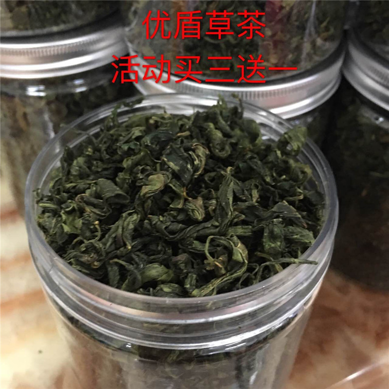 包邮优顿草忧循草忧遁草优盾草优遁草鳄嘴花正宗小尖叶茶叶