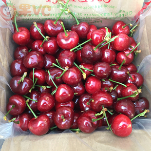 限京津冀 大连美早樱桃 1斤 新鲜水果 国产车厘