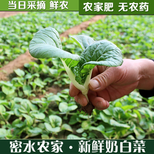 【农家新鲜蔬菜】最新淘宝网农家新鲜蔬菜优惠