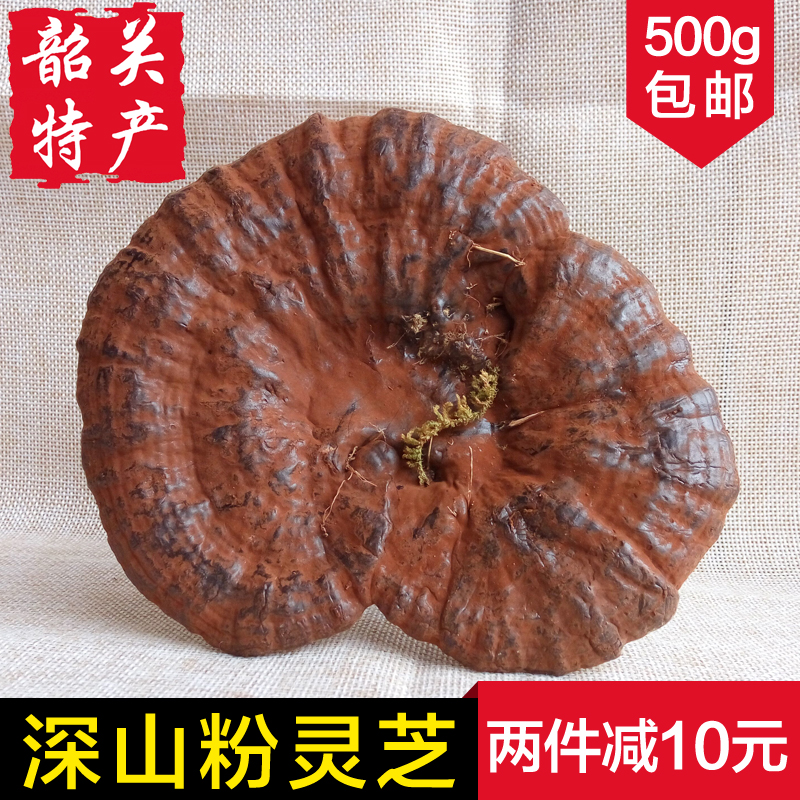 【天天特价】深山野生紫灵芝整枝 带柄孢子粉林芝正品500g包邮