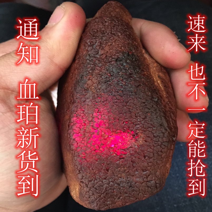 缅甸血珀原石 挂件料 戒面料 琥珀原石毛料金珀血珀蓝珀虫珀蜜蜡