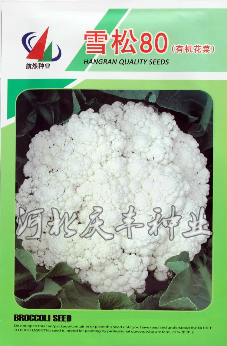 台湾引进青梗有机花菜种子 进口青菜雪松80天f1 白菜花松花菜种子