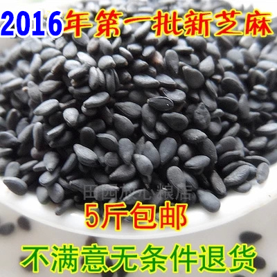 农家新黑芝麻 免洗黑白芝麻仁 带皮黑芝麻 五谷杂粮500g