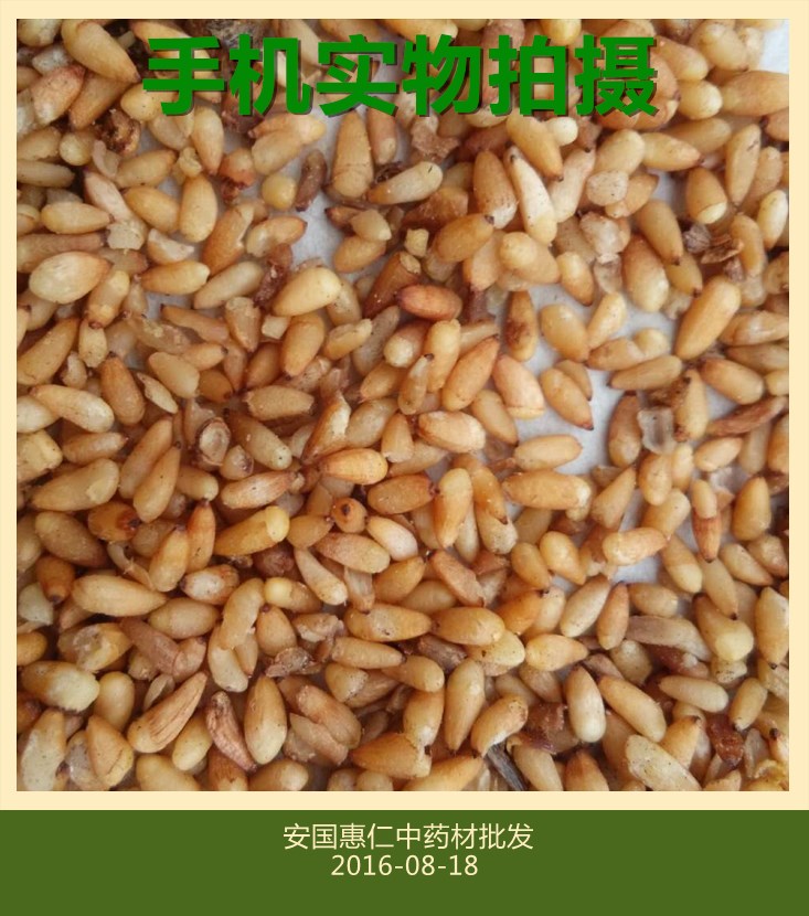安国惠仁中药材去壳柏子仁好统货可抓药可打粉一千克起批量大从优