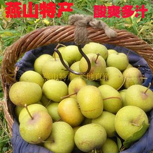 ʲժϸƤƤ氲ˬ֭иˮɽڲֱ