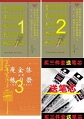 特惠 初学者硬笔书法三件套钢笔字帖宋徽宗瘦金体千字文上下册