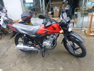 整车 新大洲 新大洲本田 本田sdh125-55摩托车整车 cb125x