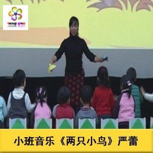 幼儿园优质课 小班音乐《两只小鸟》 幼儿园公开课