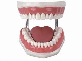推荐最新牙齿保健 幼儿牙齿保健知识信息资料