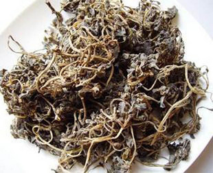 马齿苋 马齿草 马齿菜 长寿菜 地马菜 500g