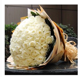 推荐最新99朵白玫瑰求婚鲜花 鲜花白玫瑰信息