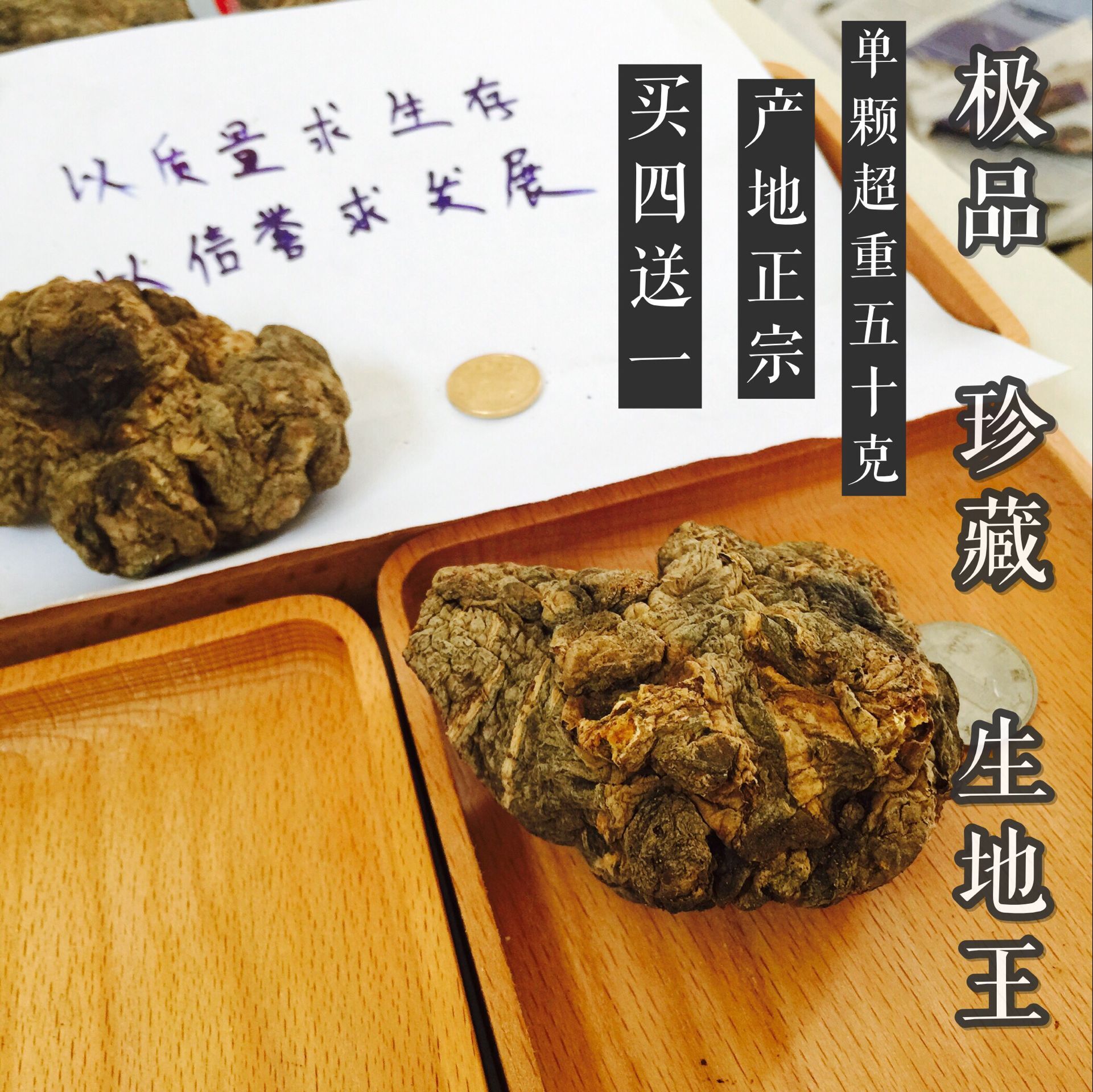 特级生地黄王焦作四大怀药精选10只生地黄个子500g特价包邮